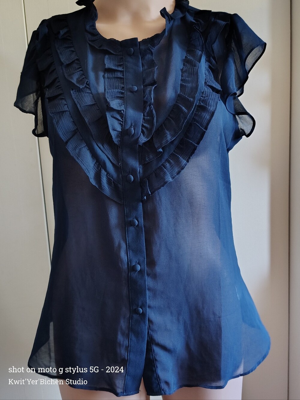 Banana Republic Navy Blue Ruffle Front Sheer Blouse SM
